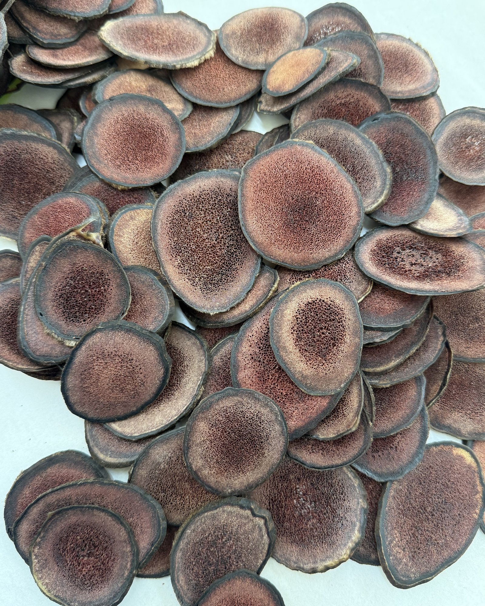 Top-down view of dried Korean deer antler slices