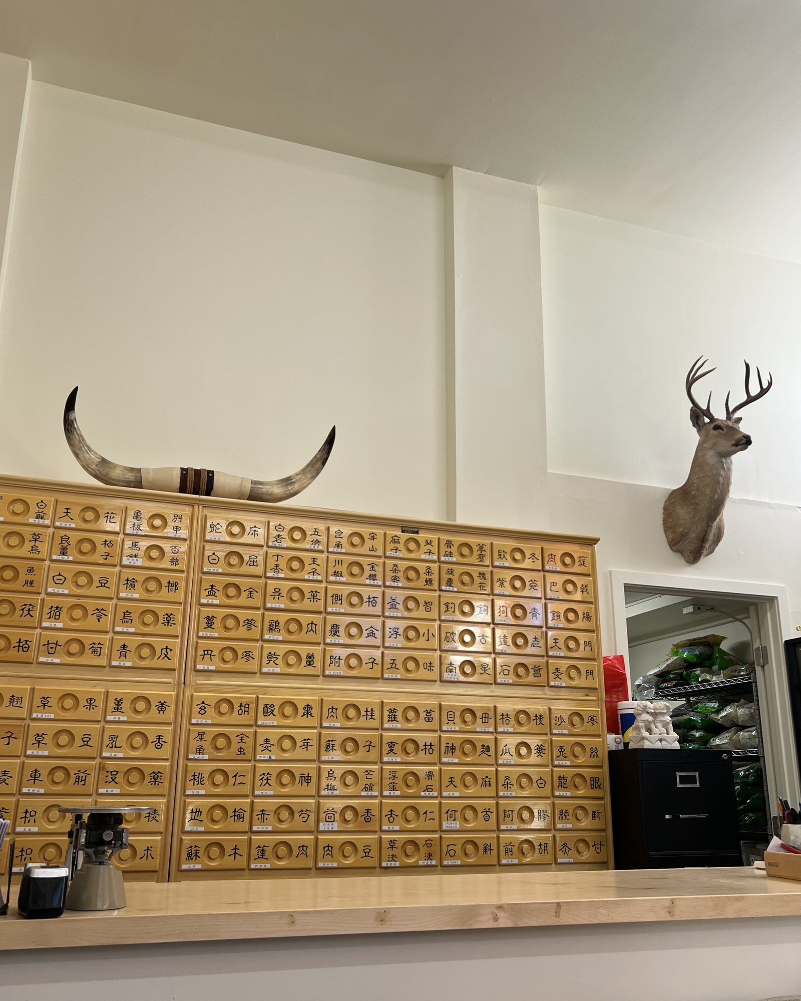 Wall of traditional Korean herb cabinet drawers with deer mount above
